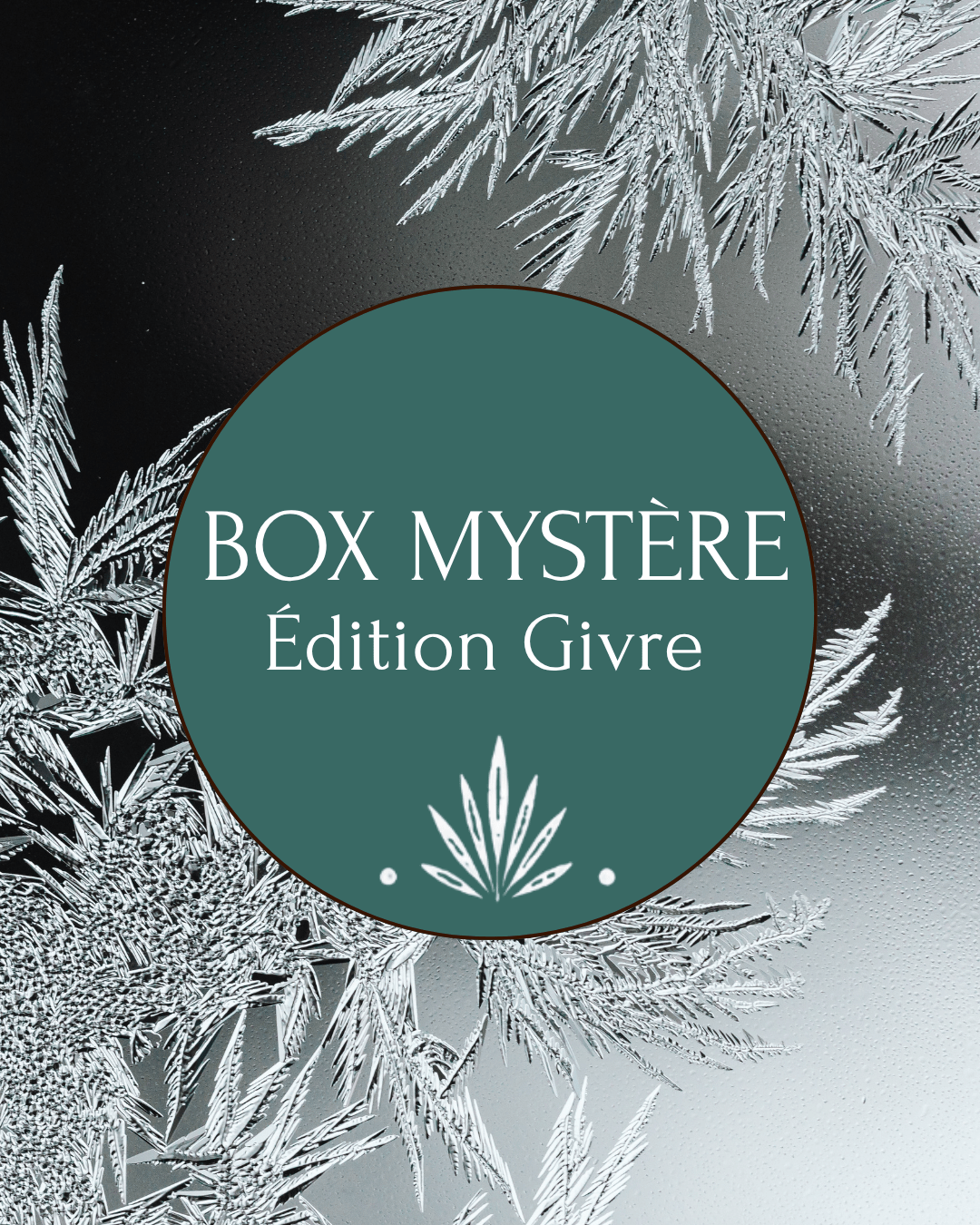 Box Givre - Cabocaboche