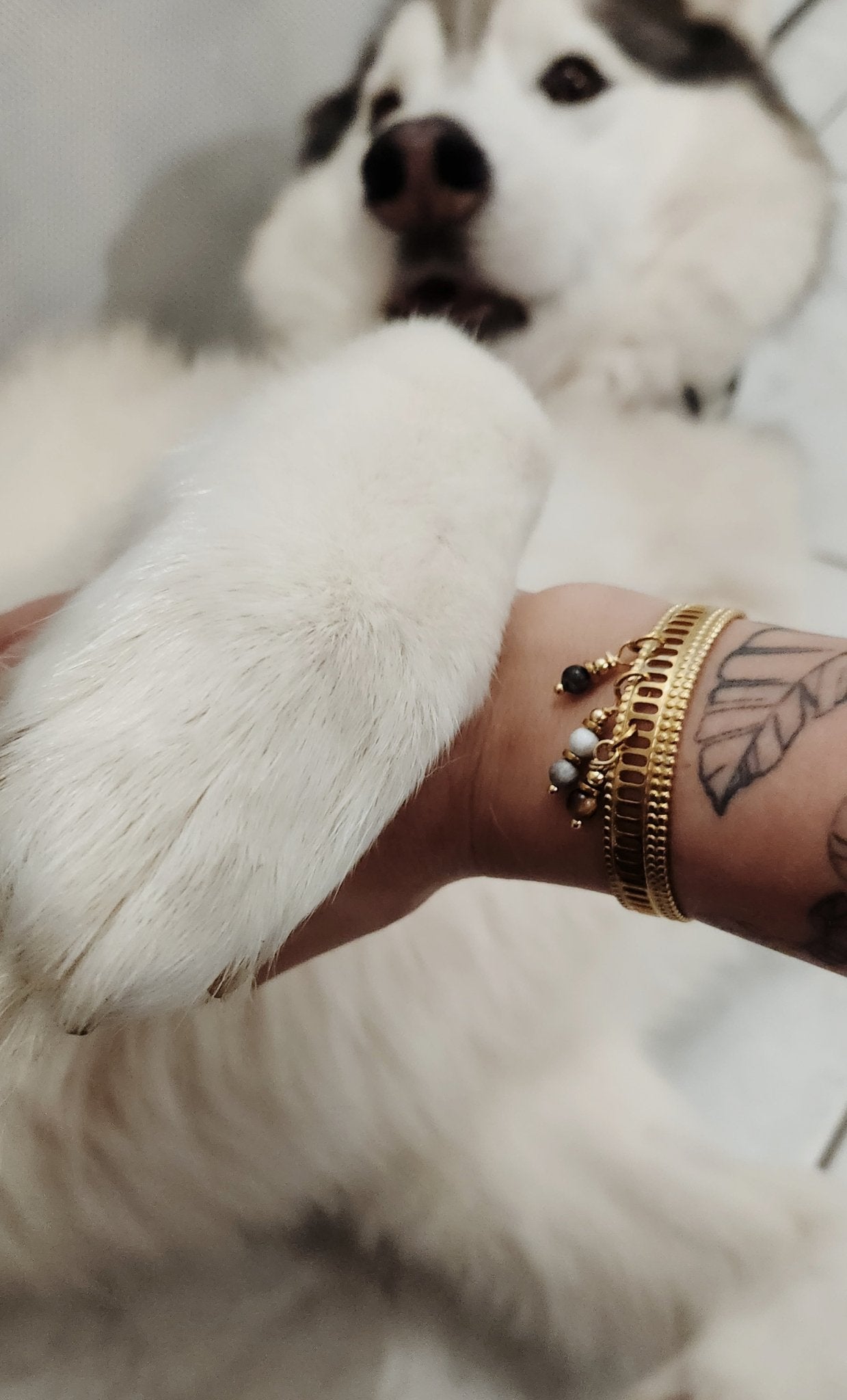 Jonc CABO - Cabocaboche