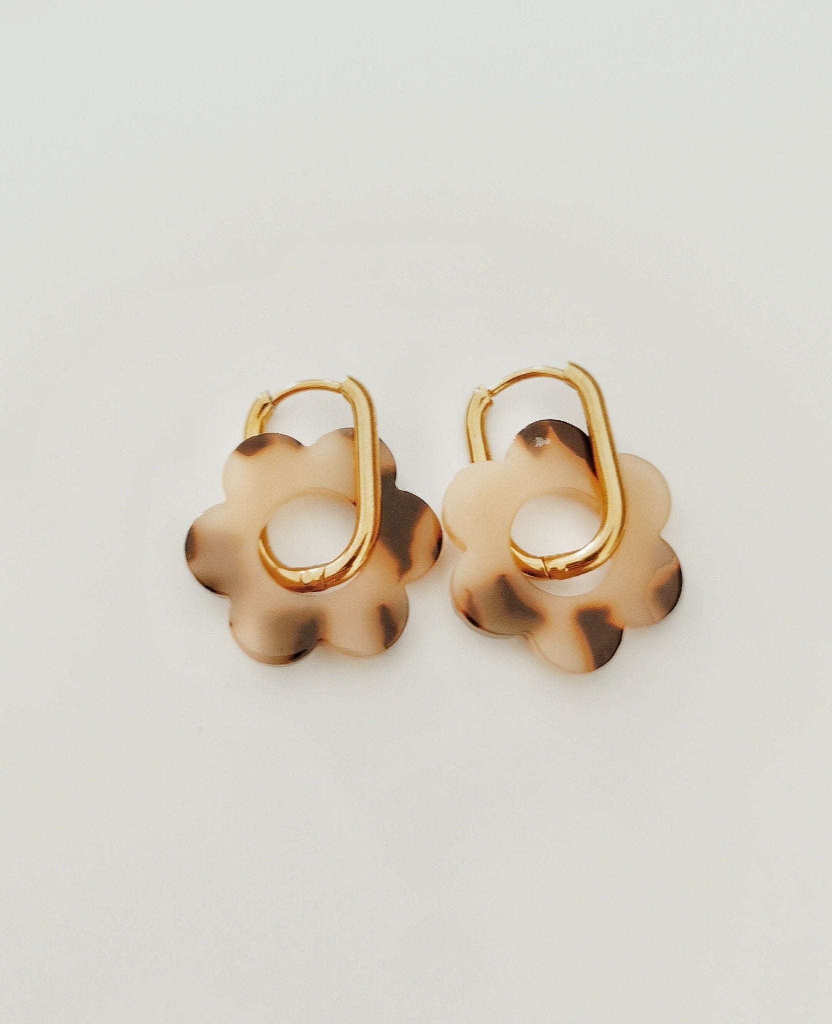 Pampilles Anya - Cabocaboche