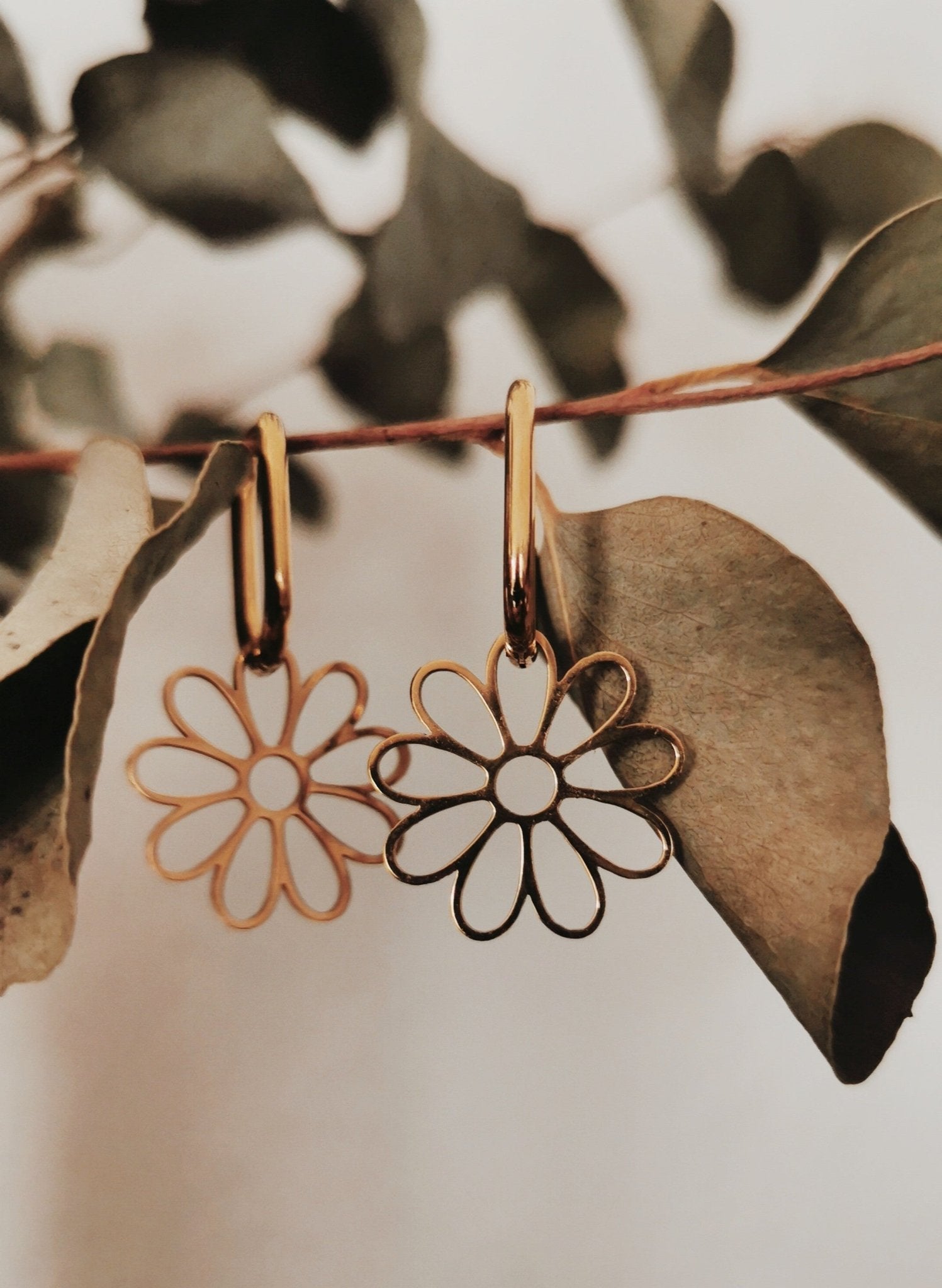 Pampilles Solila - Cabocaboche