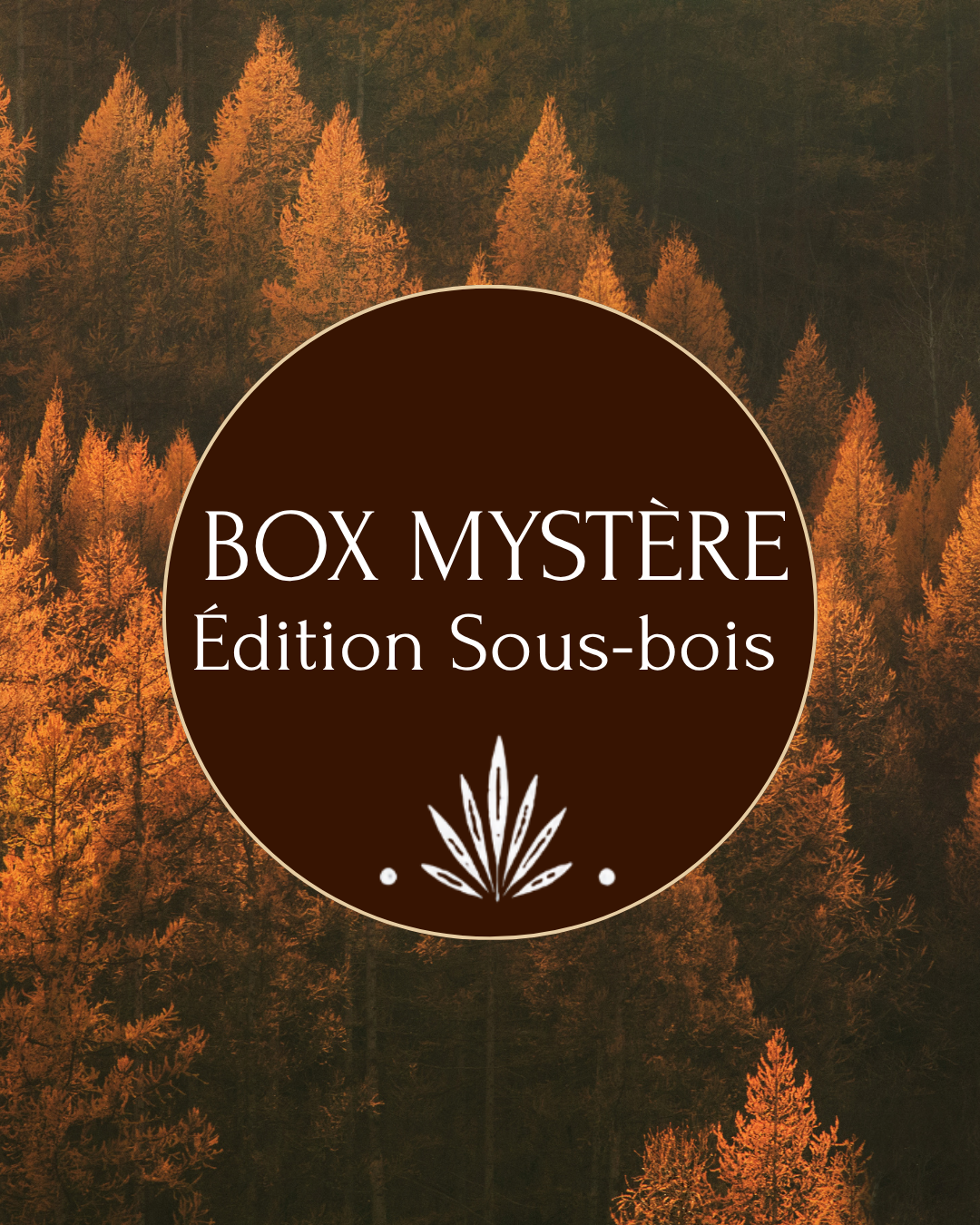 Box Sous-bois