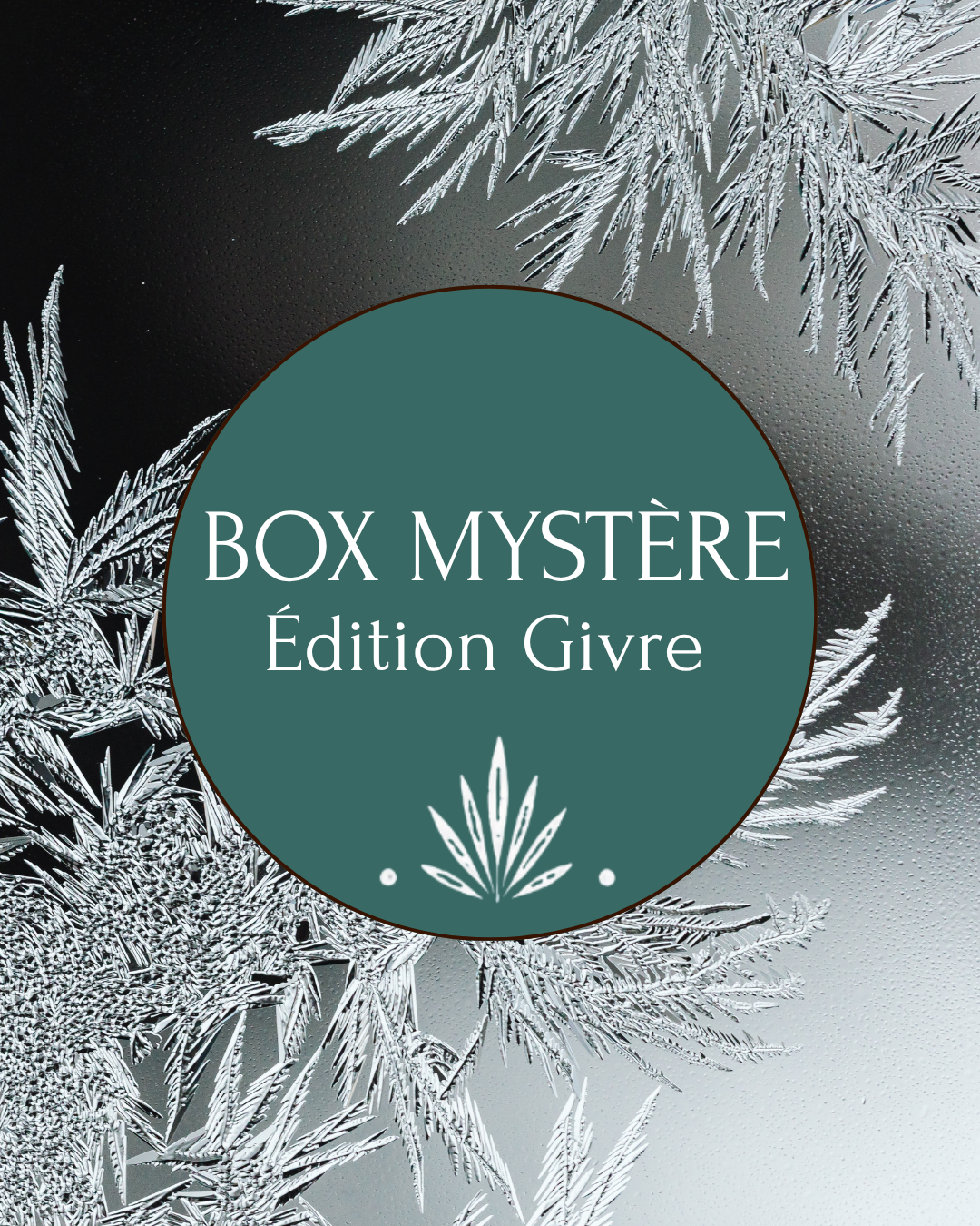 Box Givre