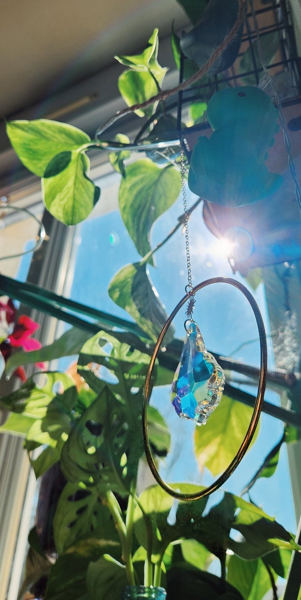 Suncatcher 1.1 PikàPlanter - Cabocaboche