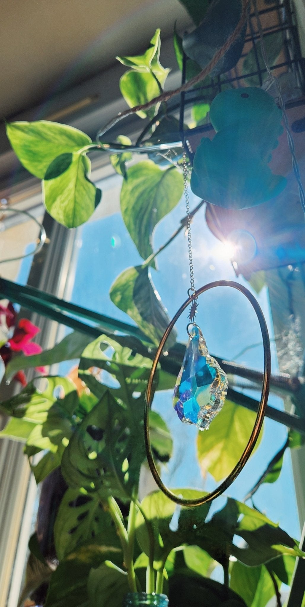 Suncatcher 1.1 PikàPlanter - Cabocaboche