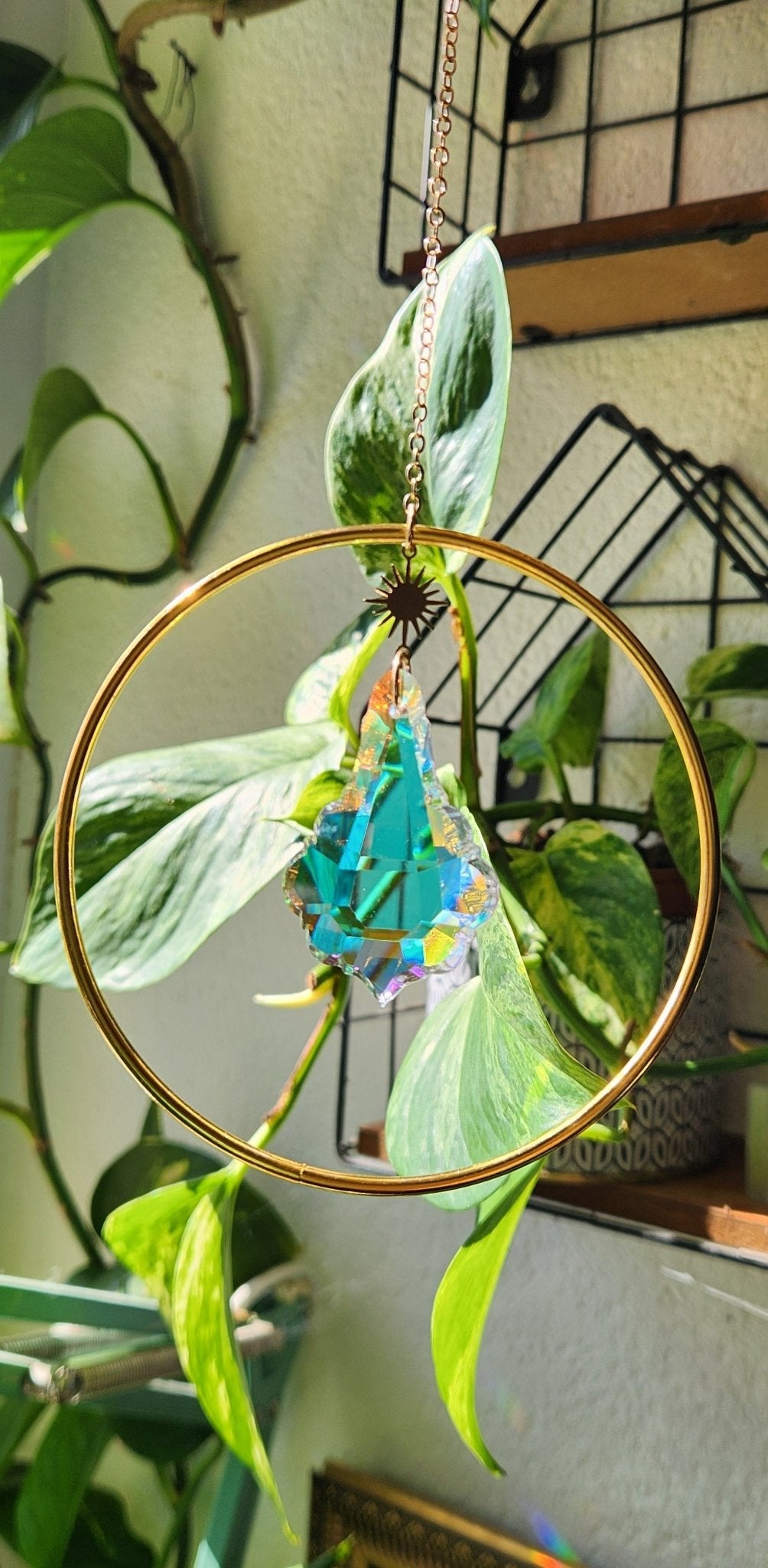 Suncatcher 1.1 PikàPlanter - Cabocaboche
